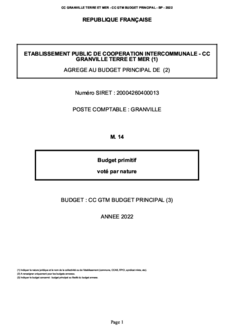 Budget Principal (2022)