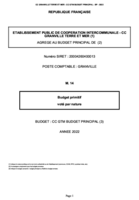 Budget Principal (2022)